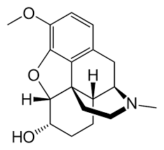 Can dihydrocodeine cause loss of appetite